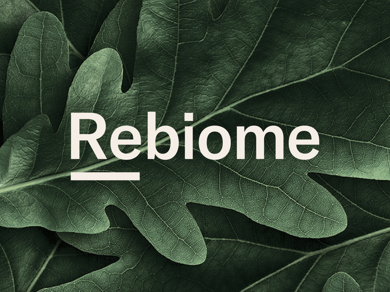 Rebiome – Creative Circle